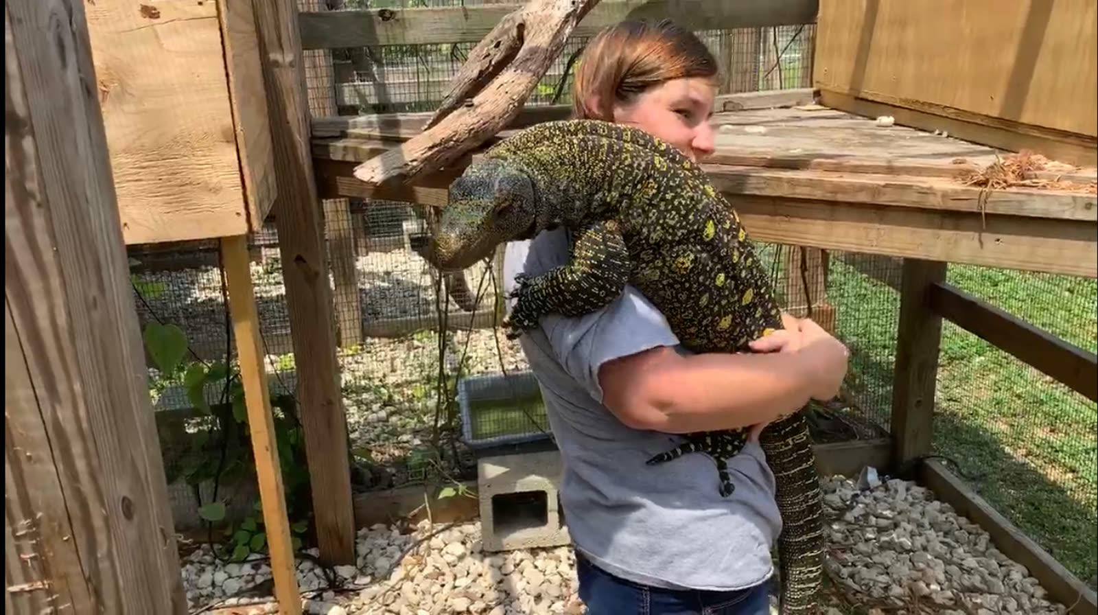 Keeper with a monitor